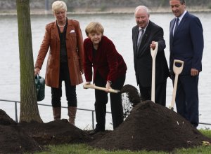 Bundeskanzlerin Angela Merkel pflanzte in Bonn eine Eiche. Foto: Maximilian Mühlens